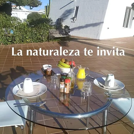 Starbal * Es Castell (Menorca)