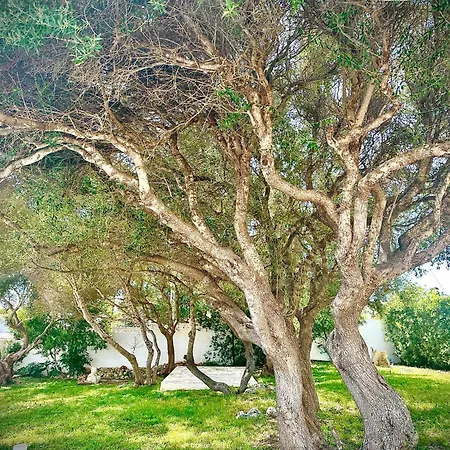Starbal Villa *