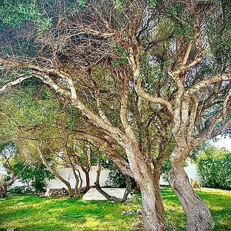 Starbal Es Castell (Menorca)
